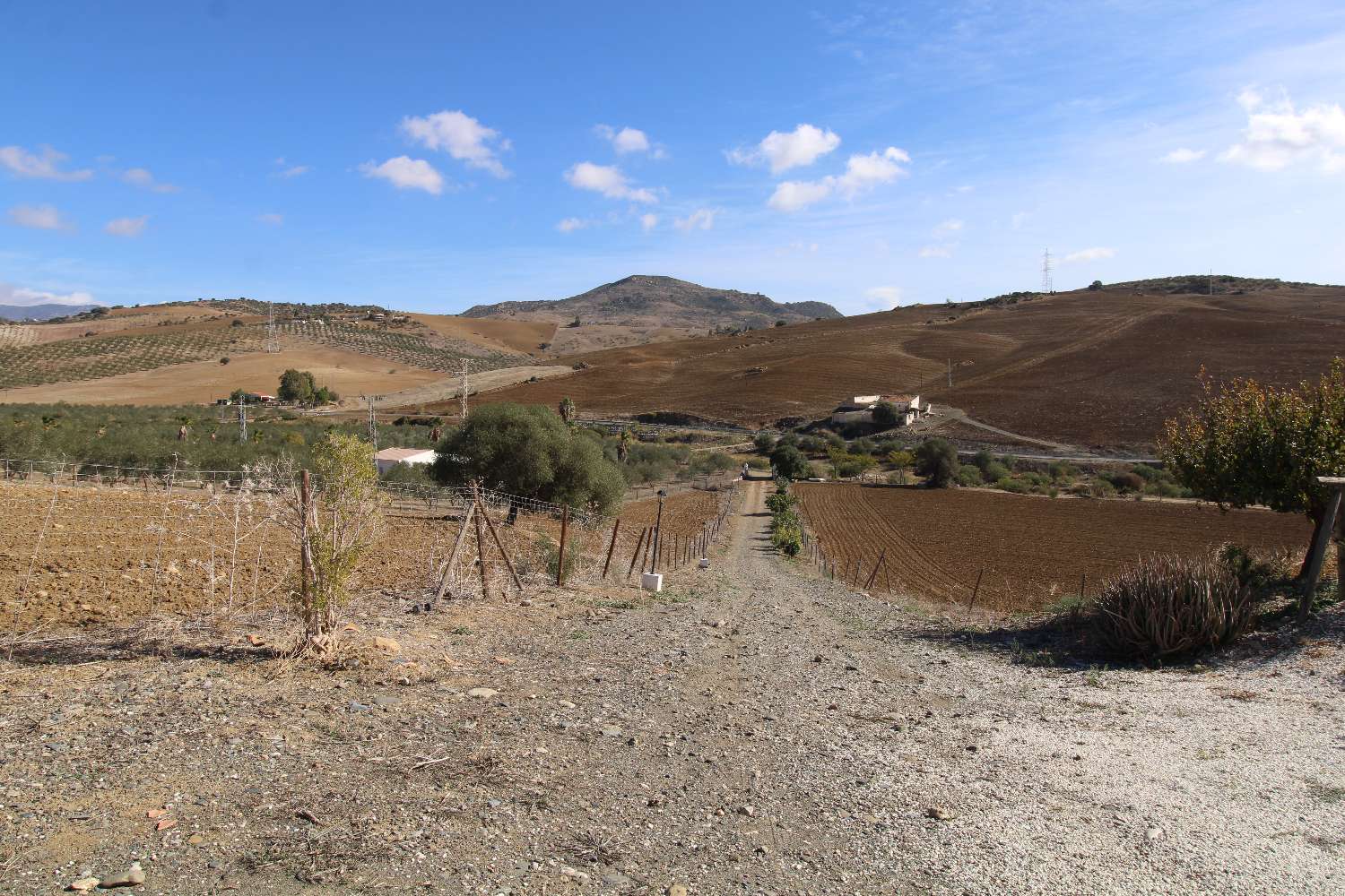 Gran finca ubicada en Alora