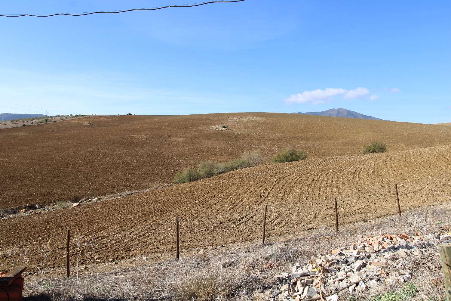 Gran finca ubicada en Alora