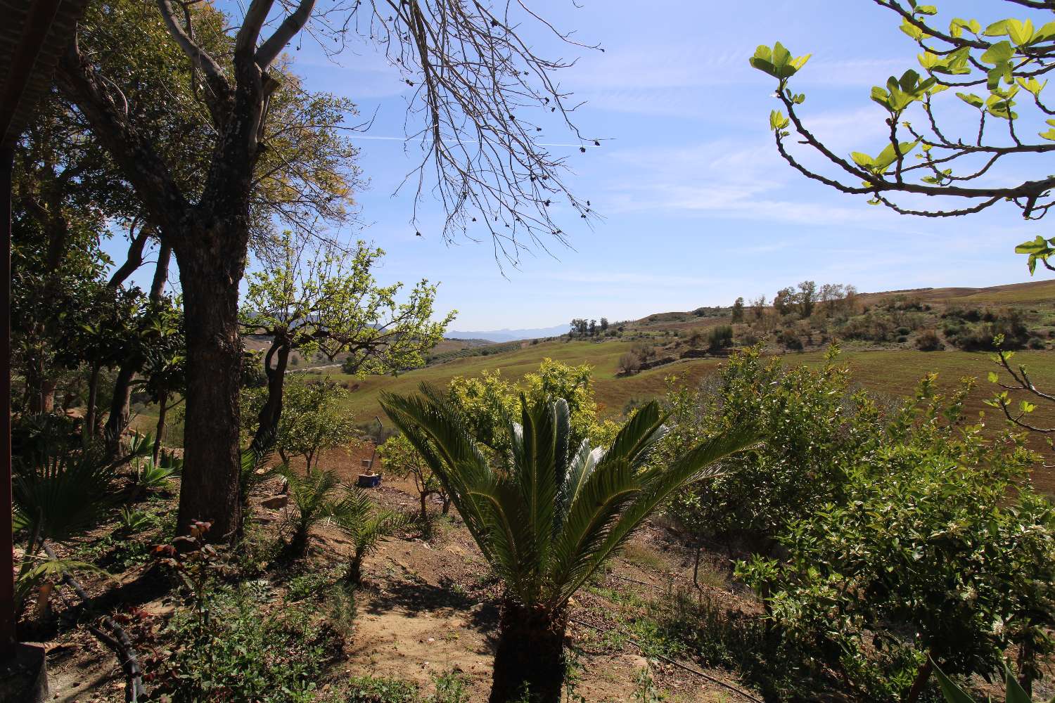 Charmante Finca en Ardoise