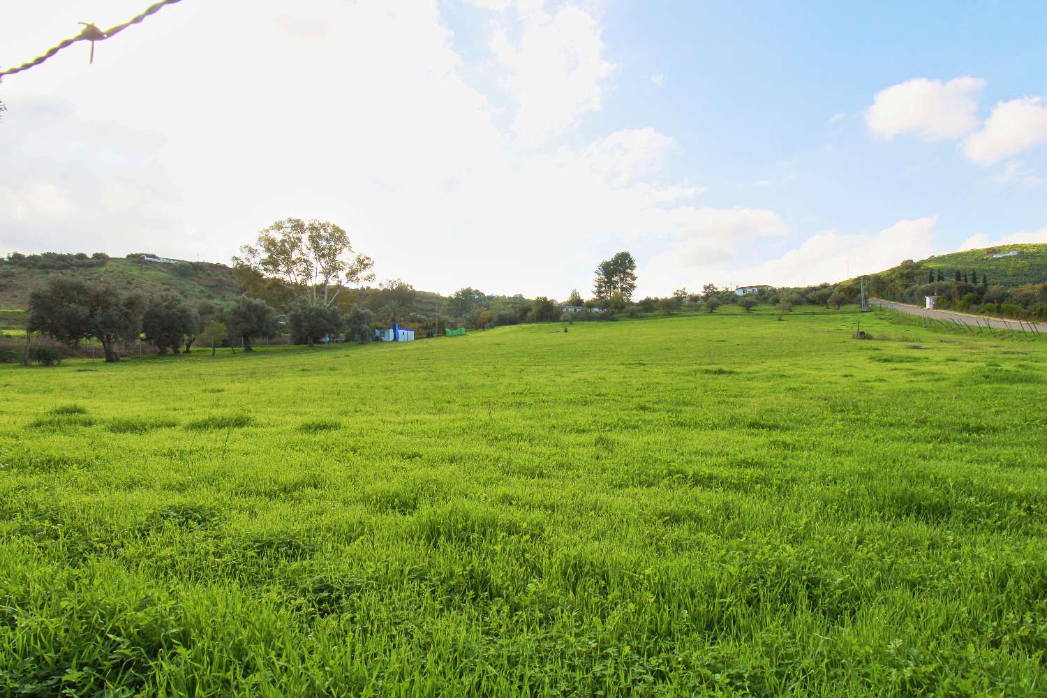 Finca rústica en Coín