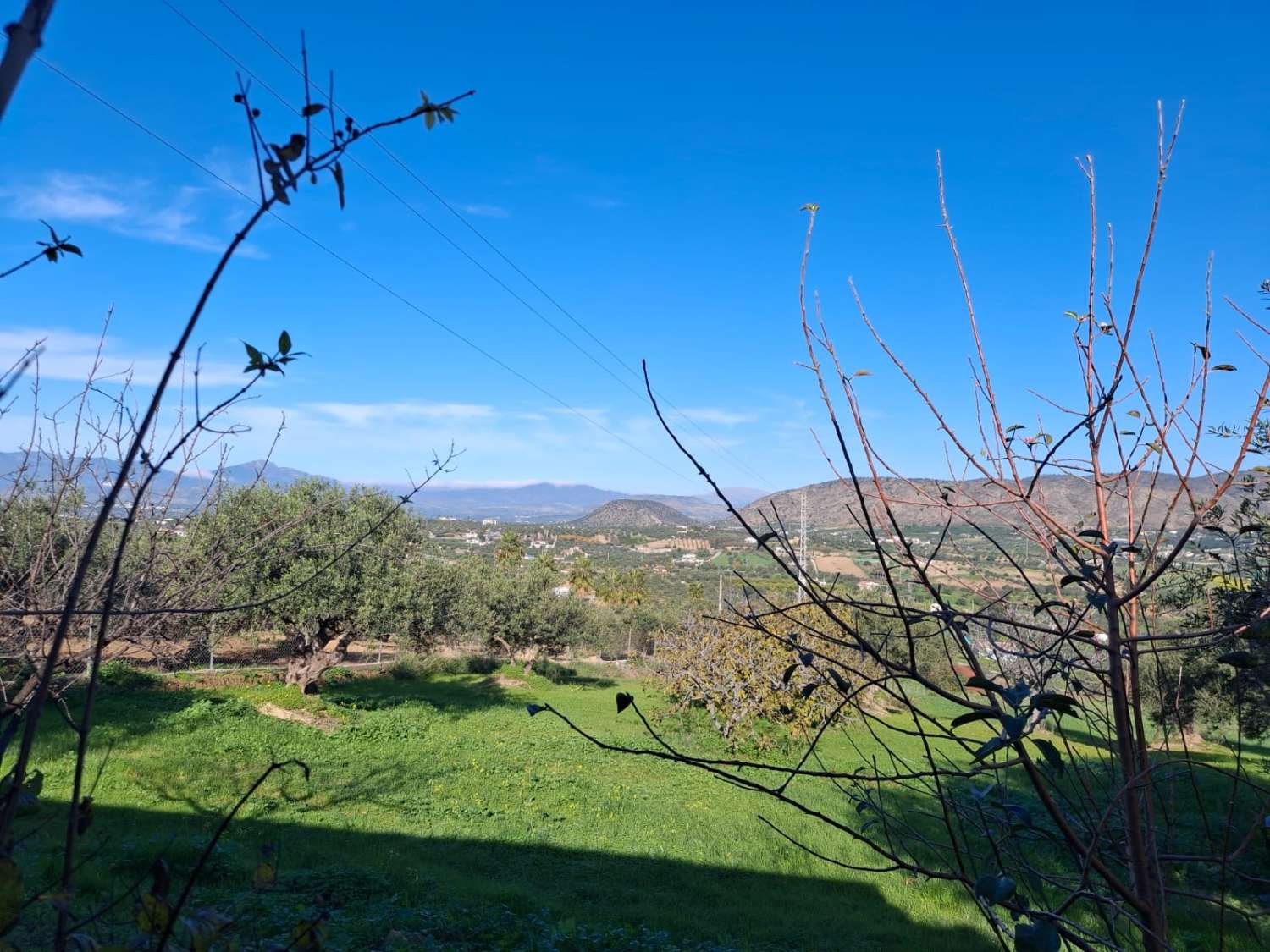 Bonita finca en alquiler ubicada en Alhaurin el Grande