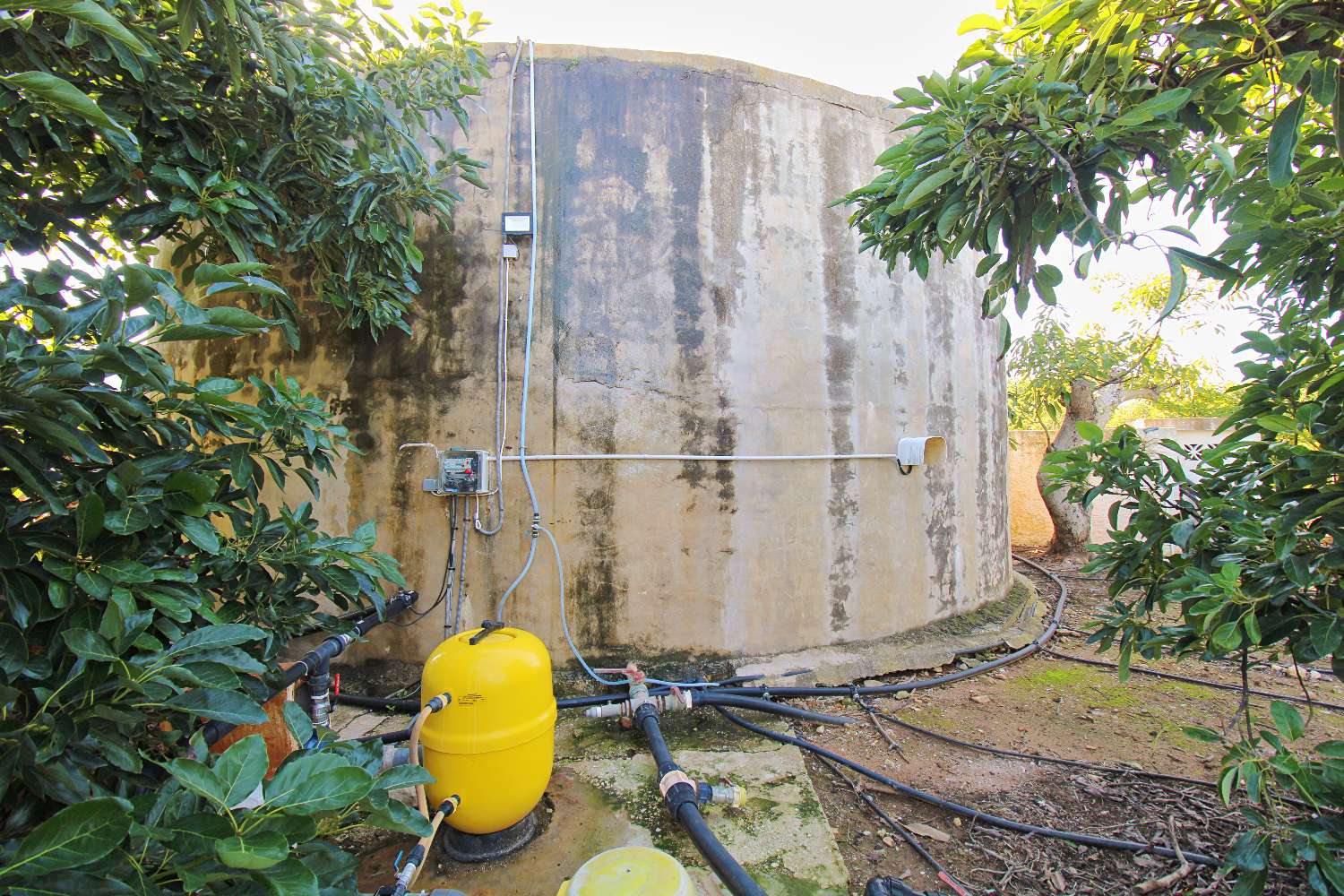 Finca rústica con producción de Aguacates ubicada en Alhaurin de la Torre