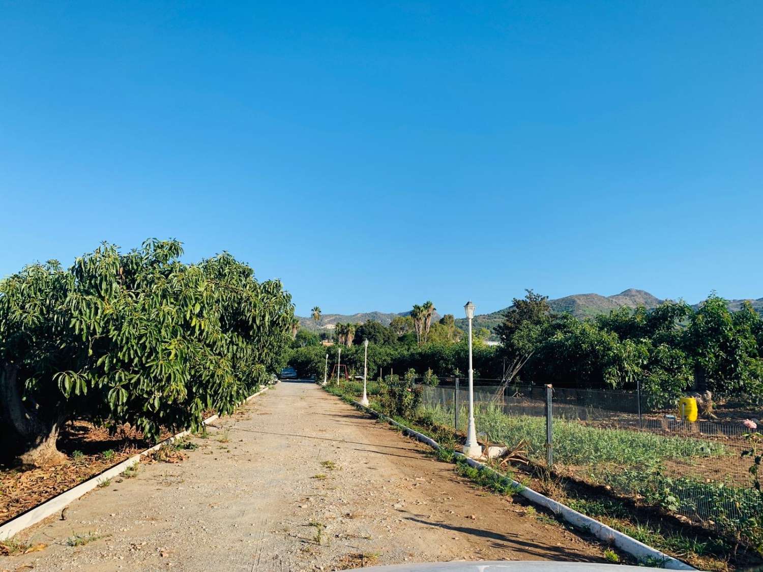 Finca rústica con producción de Aguacates ubicada en Alhaurin de la Torre