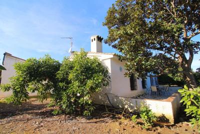 Finca rústica con producción de Aguacates ubicada en Alh...